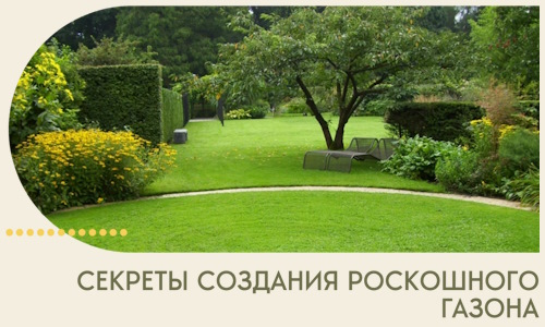 Секреты создания роскошного газона в Санкте-Петербурге