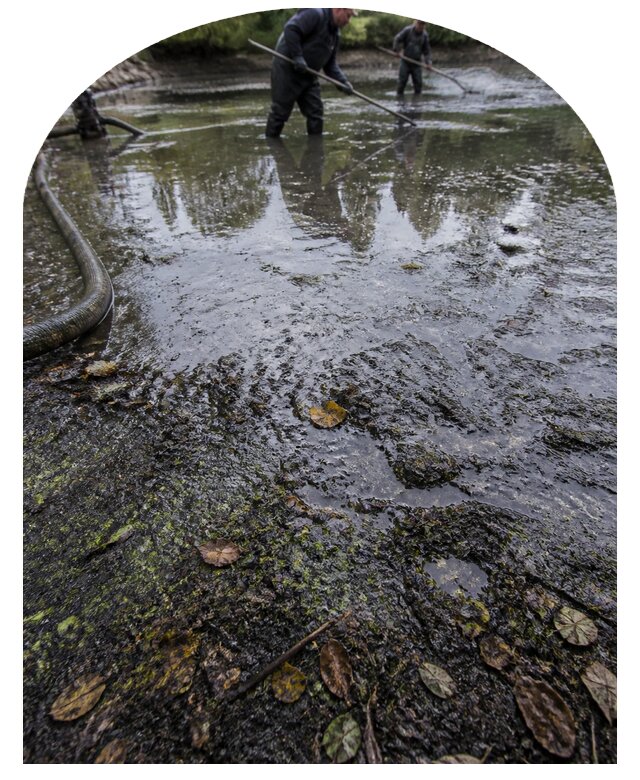 Очистка пруда в Санкте-Петербурге от ила мусора и водорослей с вывозом
